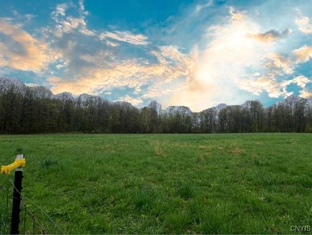 view of nature featuring a view of trees and a rural view