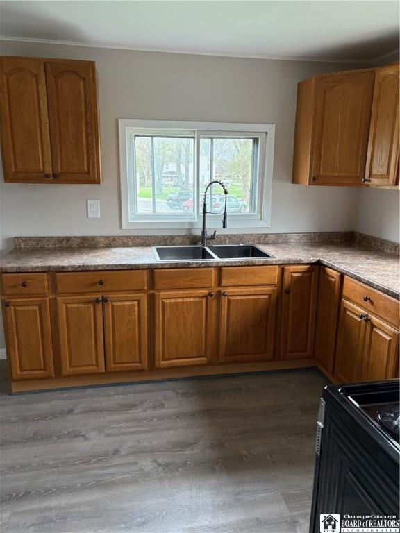 kitchen with brown cabinets, black / electric stove, a sink, and light wood finished floors