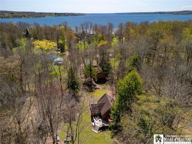 150 Sea Lion Dr, Chautauqua, NY 14757 - photo 2