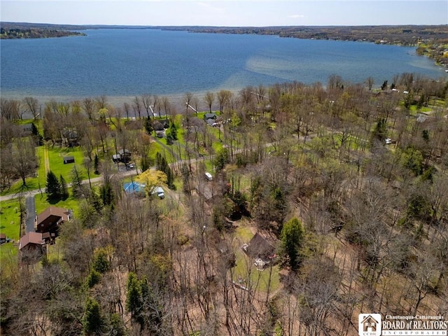 150 Sea Lion Dr, Chautauqua, NY 14757 - photo 31