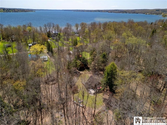 150 Sea Lion Dr, Chautauqua, NY 14757 - photo 32