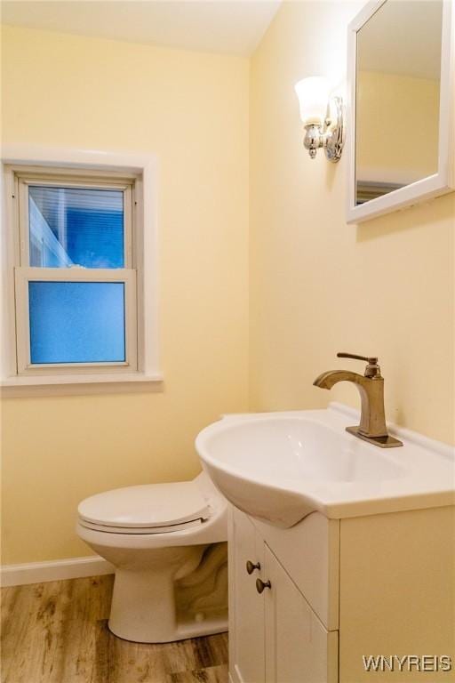 38 Carol Ave, Pomfret, NY 14063 - bathroom featuring vanity, wood finished floors, and toilet