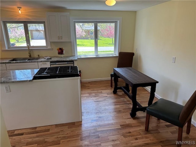 38 Carol Ave, Pomfret, NY 14063 - kitchen featuring a sink, plenty of natural light, light wood-style flooring, and baseboards