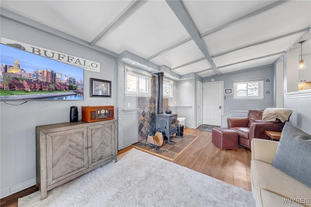 living area featuring a wood stove and wood finished floors