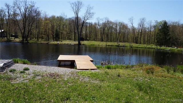11 Lake Pennock Dr, Orwell, NY 13144 - dock featuring a water view and a view of trees