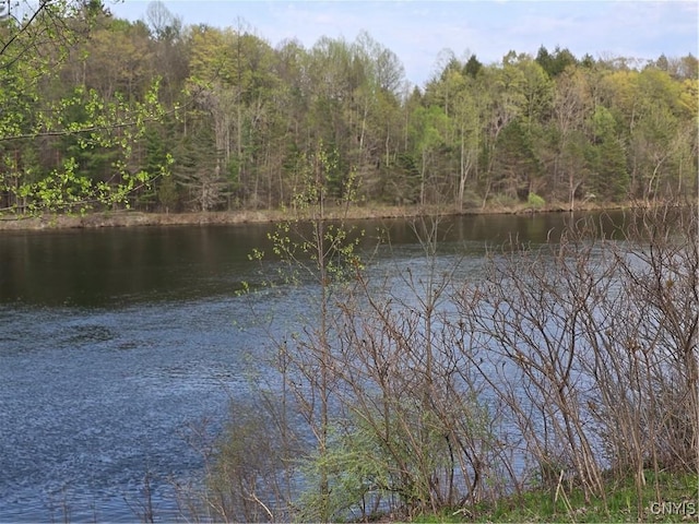 187 Millard Bassett Rd, Granby, NY 13069 - photo 3