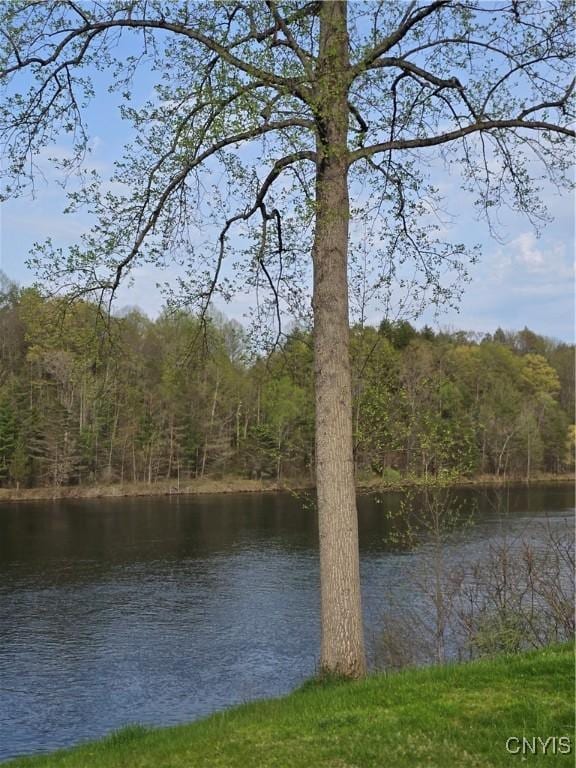 187 Millard Bassett Rd, Granby, NY 13069 - photo 37