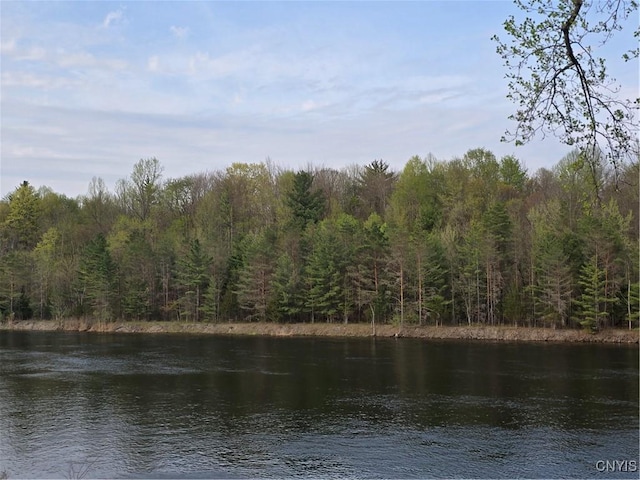 187 Millard Bassett Rd, Granby, NY 13069 - photo 40