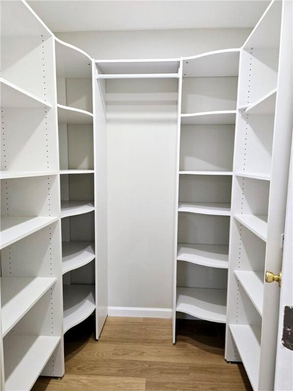 spacious closet featuring wood finished floors