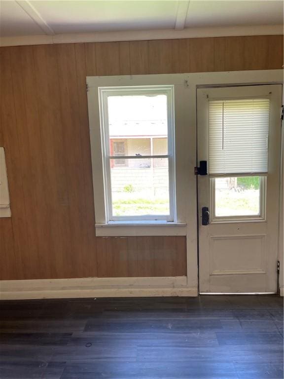 doorway featuring dark wood-style flooring, wood walls, and a healthy amount of sunlight