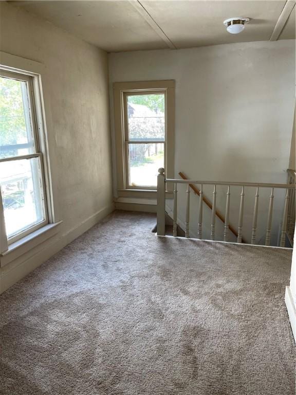 spare room featuring carpet