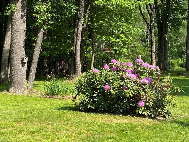 20 Oberg Ave, Mount Jewett Borough, PA 16740