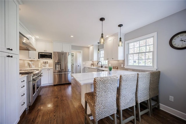 kitchen with decorative backsplash, a peninsula, under cabinet range hood, and high quality appliances