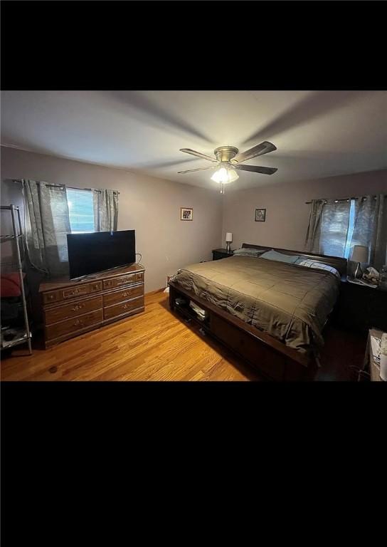 2 Park Pl, Delhi, NY 13753 - bedroom featuring a ceiling fan and wood finished floors