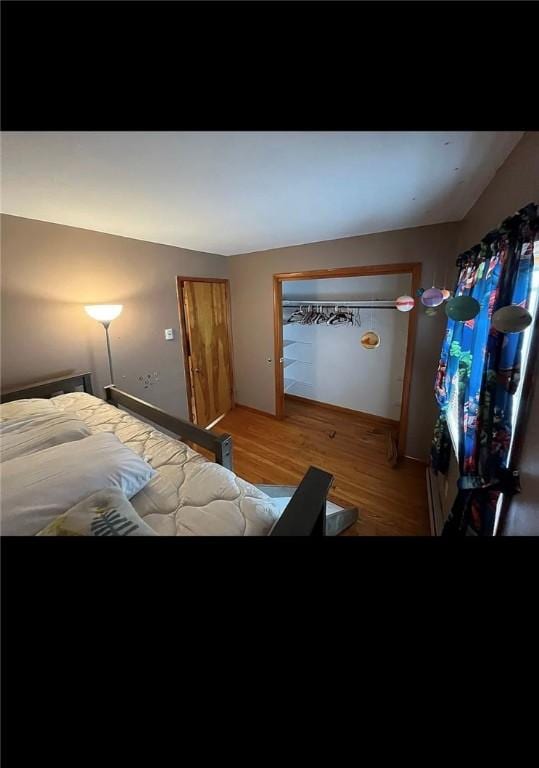 2 Park Pl, Delhi, NY 13753 - bedroom with baseboards and wood finished floors
