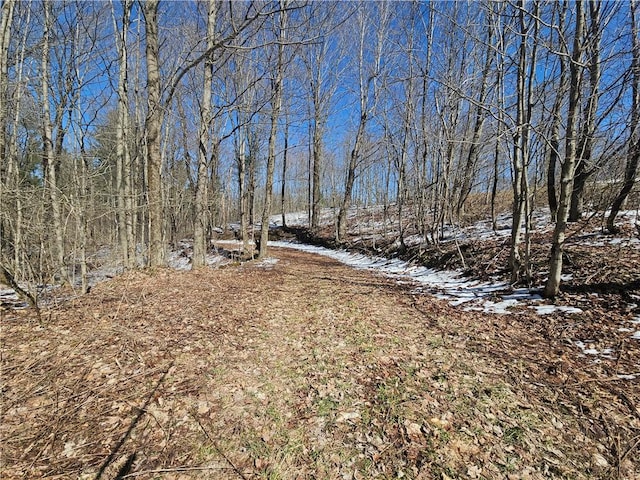 1908 County Route 2, Orwell, NY 13144 - photo 16
