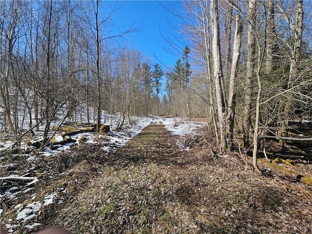1908 County Route 2, Orwell, NY 13144 - photo 27