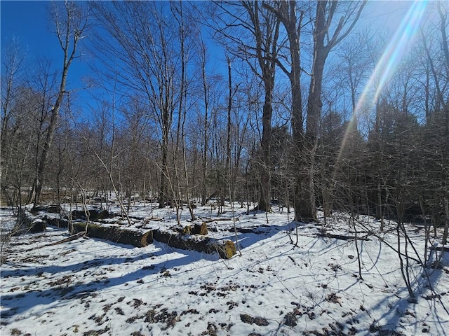 1908 County Route 2, Orwell, NY 13144 - photo 29