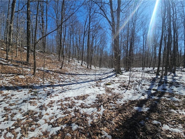 1908 County Route 2, Orwell, NY 13144 - photo 28