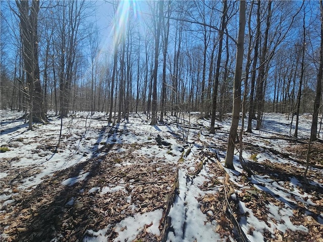 1908 County Route 2, Orwell, NY 13144 - photo 30