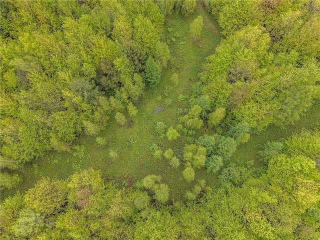 1908 County Route 2, Orwell, NY 13144 - photo 4