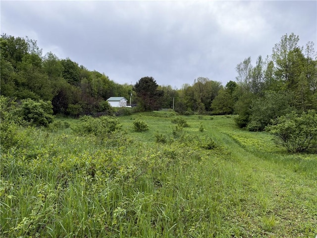 1908 County Route 2, Orwell, NY 13144 - photo 5