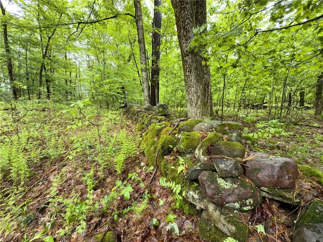 1908 County Route 2, Orwell, NY 13144 - photo 9
