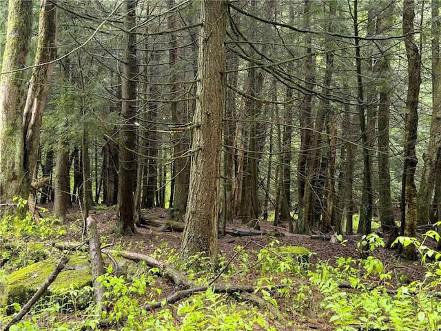 1908 County Route 2, Orwell, NY 13144 - photo 10