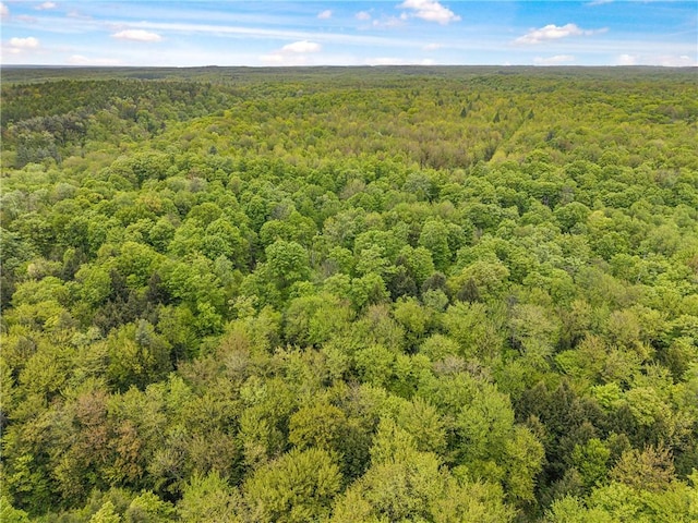 1908 County Route 2, Orwell, NY 13144 - photo 11