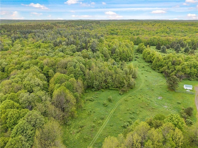 1908 County Route 2, Orwell, NY 13144 - photo 13