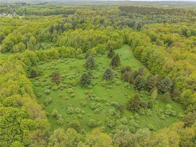1908 County Route 2, Orwell, NY 13144 - photo 14