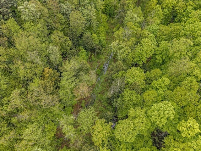1908 County Route 2, Orwell, NY 13144 - photo 18