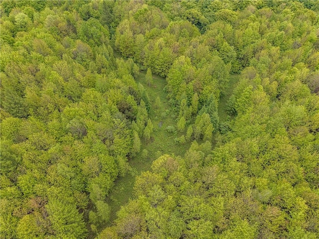 1908 County Route 2, Orwell, NY 13144 - photo 19