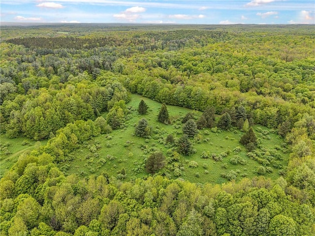 1908 County Route 2, Orwell, NY 13144 - photo 20