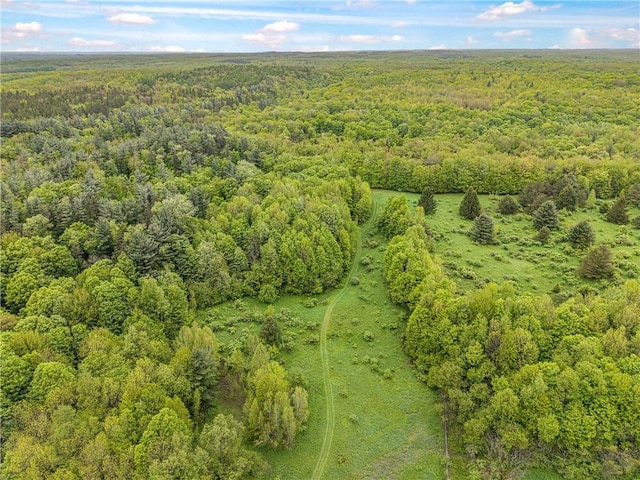 1908 County Route 2, Orwell, NY 13144 - photo 21