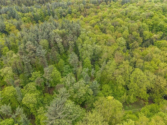 1908 County Route 2, Orwell, NY 13144 - photo 22