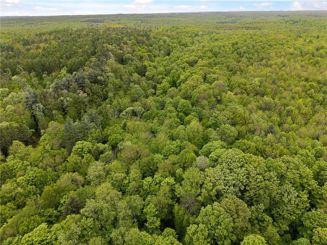 1908 County Route 2, Orwell, NY 13144 - photo 24