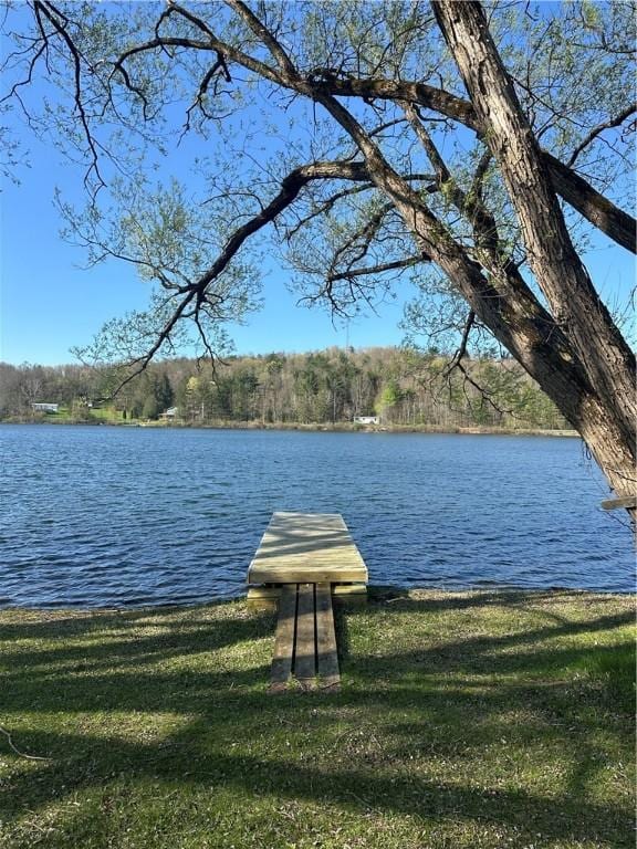 view of water feature with a dock and a wooded view