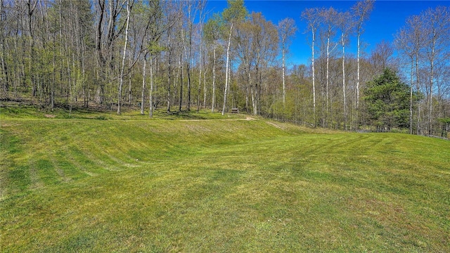1029 Barden, Eldred, PA 16731 - view of yard