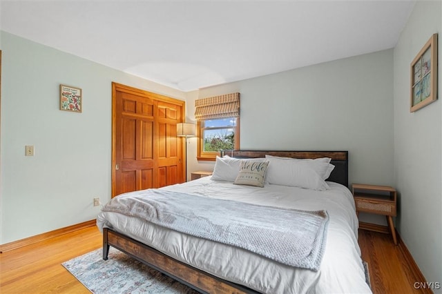 2380 E Lake Rd, Spafford, NY 13152 - bedroom with wood finished floors, baseboards, and a closet