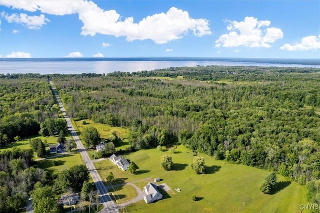 birds eye view of property with a water view and a forest view