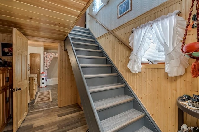 stairway featuring wood finished floors