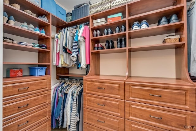 222 William St, Brownville, NY 13634 - view of walk in closet