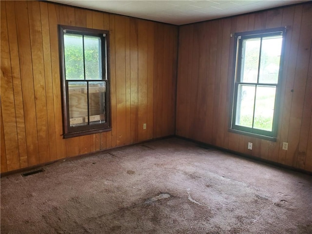 212 Mechanic St, Elmira City, NY 14904 - spare room featuring plenty of natural light, carpet flooring, and wood walls