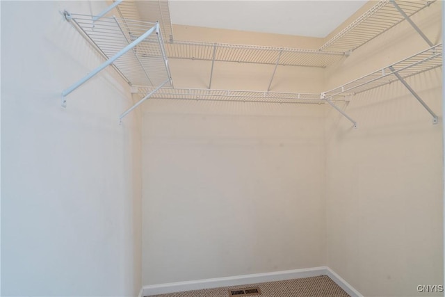 walk in closet featuring carpet flooring