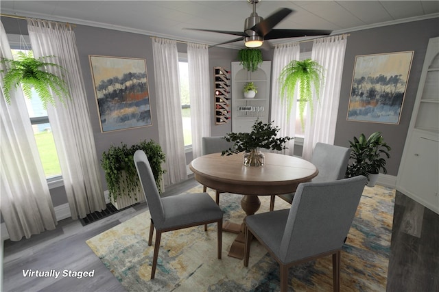 dining area with ornamental molding, light wood-style flooring, ceiling fan, and plenty of natural light