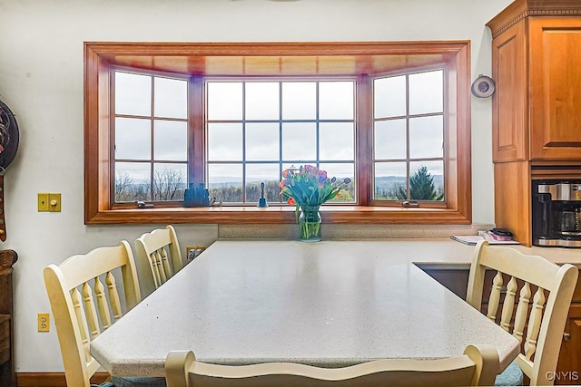dining room with a healthy amount of sunlight
