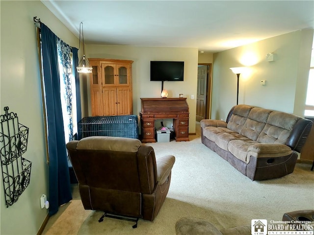 804 Smith Rd, Villenova, NY 14062 - living room with light carpet
