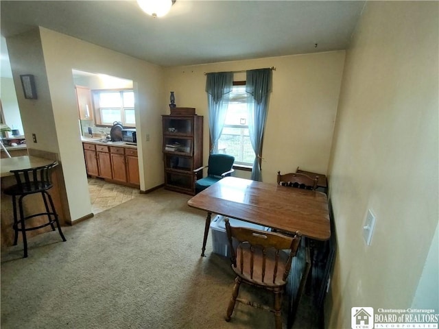 804 Smith Rd, Villenova, NY 14062 - office with light colored carpet