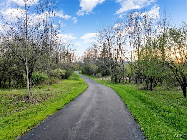 3578 S St, Kirkland, NY 13323 - view of street